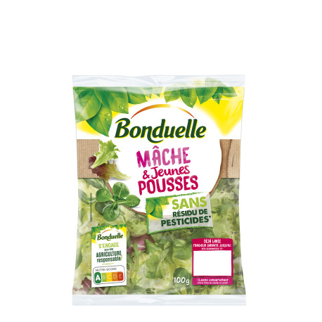 MACHE ET JEUNE POUSSE BONDUELLE F 4X100G